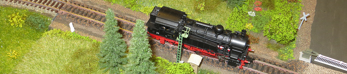 MECHE - ModellEisenbahnClub Horst/Elmshorn