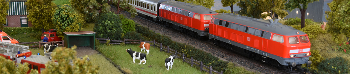 MECHE - ModellEisenbahnClub Horst/Elmshorn