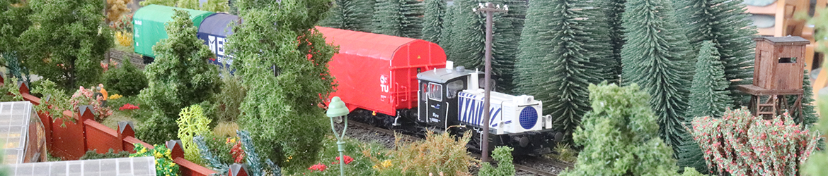 MECHE - Modelleisenbahnclub Horst/Elmshorn